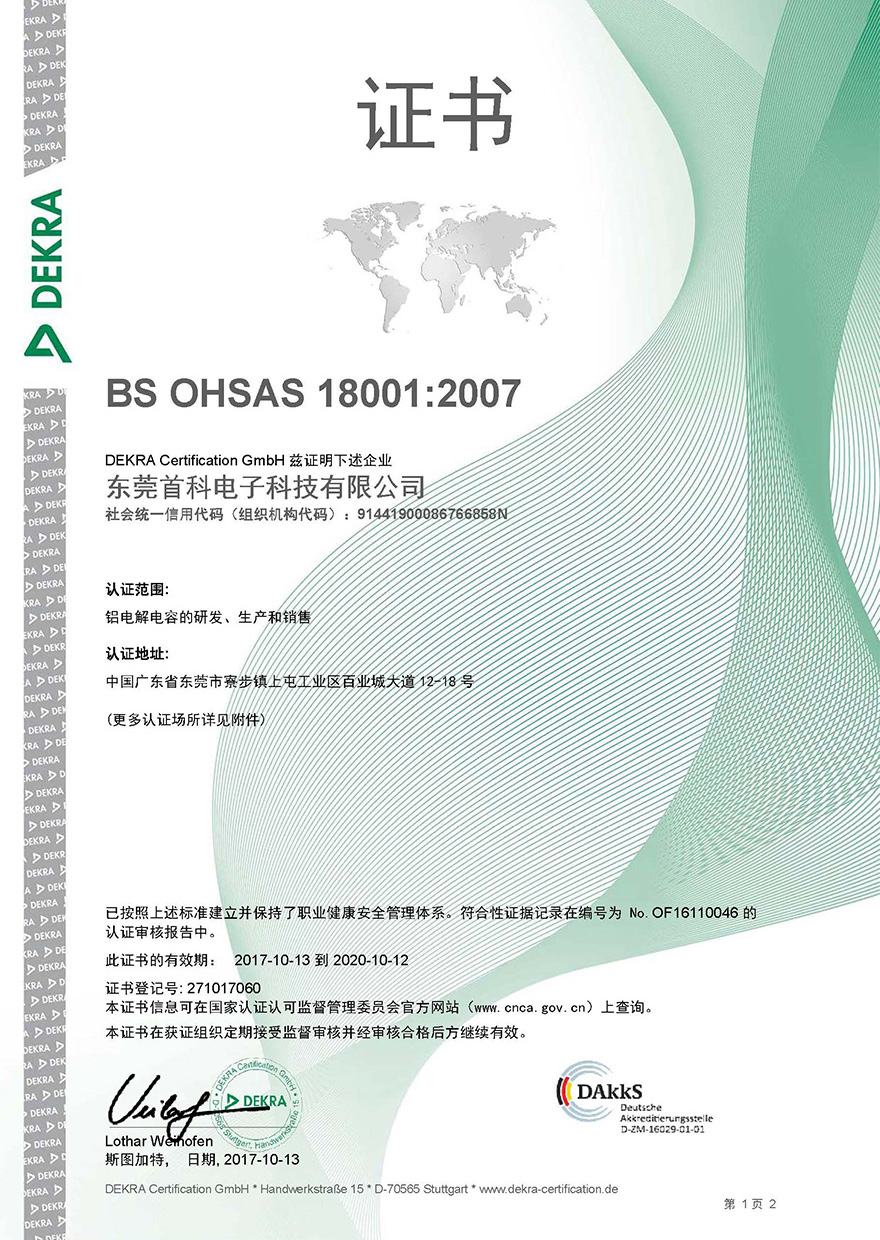 職業(yè)健康安全管理體系BS OHSAS 18001