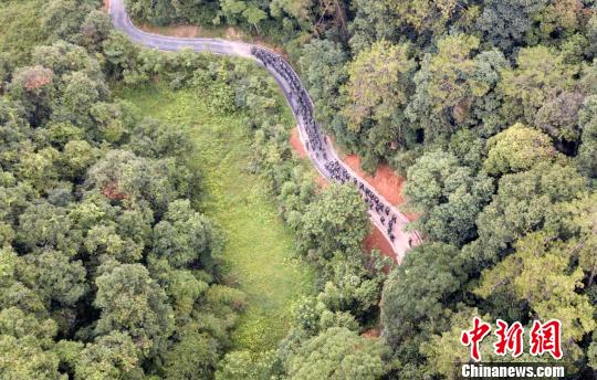 圖為來自武警福建總隊三明、龍巖、南平支隊100余名特戰(zhàn)隊員在福建省三明市永安?揲瞪嬌?展特戰(zhàn)極限練習(xí)?！×_武 攝